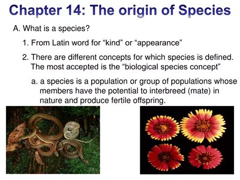 Ppt A What Is A Species 1 From Latin Word For “kind” Or