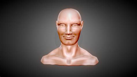 Male Bust 3d Model By Procyonlotor 079156d Sketchfab