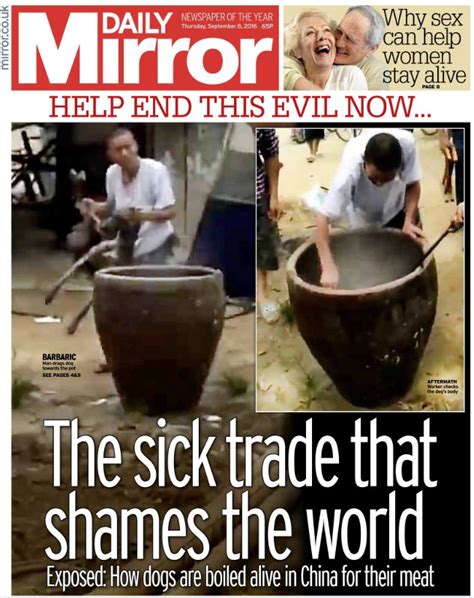 The Daily Mirror Newspaper Uk Featuring Fight Dog Meat Fight Dog Meat