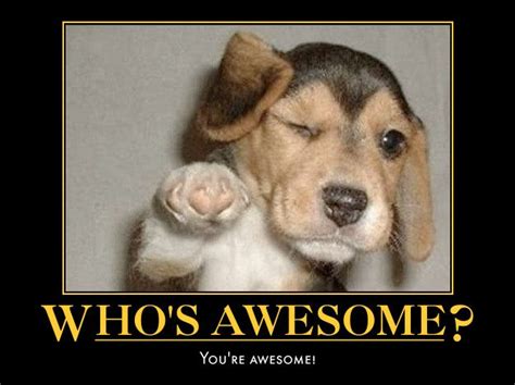 Whos Awesome Youre Awesome Cute Humor Lol Meme Humor And