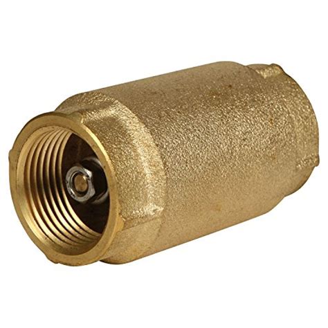 Best Well Water Check Valve