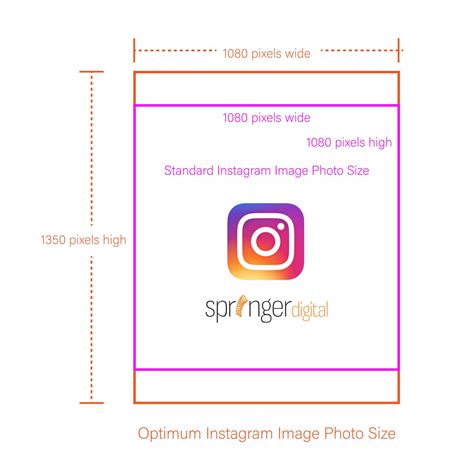Recommended Instagram Image Sizes For 2020 Springer Digital