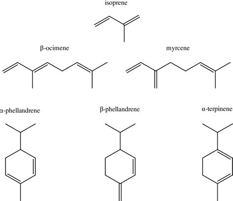The Chemical Structures Of Some Conjugated Alkenes Including Isoprene