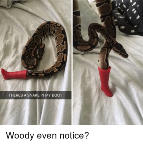 Theres A Snake In My Boot Snake Meme On Meme
