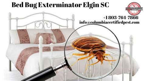 Bedbug Exterminator In Elgin South Carolina Pest Control Bed Bugs Pests