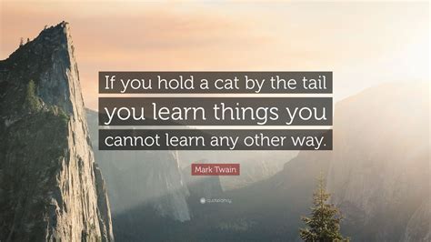 Mark Twain Quote If You Hold A Cat By The Tail You Learn Things You