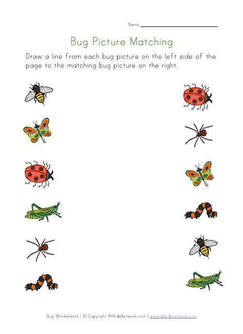 Bug Find And Count Worksheet