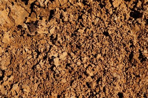 How To Improve Clay Soil For Vegetable Gardening • Envii