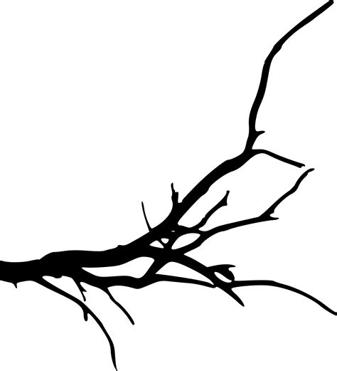 15 Simple Tree Branch Silhouettes Png Transparent