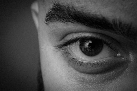 Male Eye Close Up Black And White Photo Of The Eye Thick Male