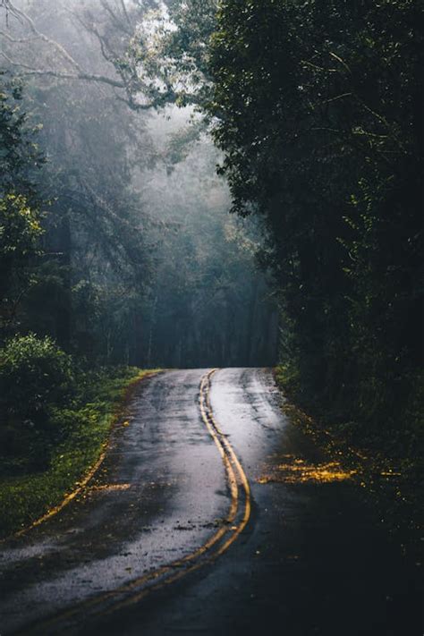 Rainy Road Wallpaper