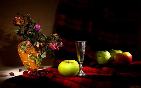 Still Life Full Hd Wallpaper And Background Image 1920x1200 Id328051