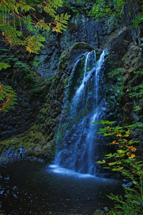 Fall Creek Falls Fall Creek Oregon Waterfalls Cool Photos
