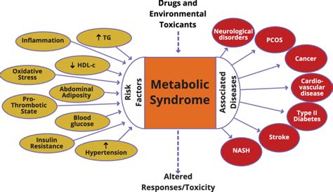 Metabolic Syndrome With Its Associated Risk Factors And Diseases At The