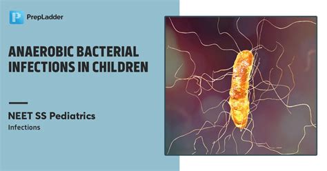 Anaerobic Bacterial Infections In Children