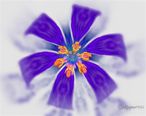 Purple Flower Digital Art By Peggi Wolfe Fine Art America