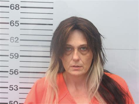 Chicago Woman Arrested for Grand Larceny at Oxford, Mississippi Home on