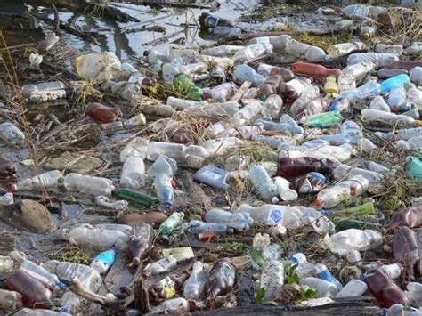 83 Best Plastic Pollution Images On Pinterest