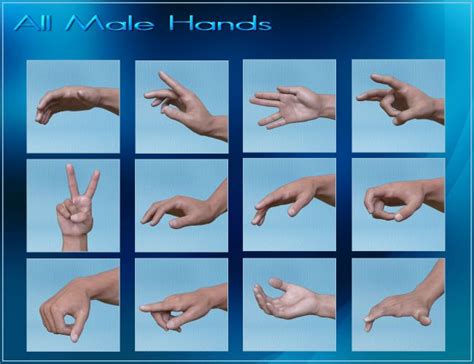 All Male Hands Hands Poses For Genesis 8 Male