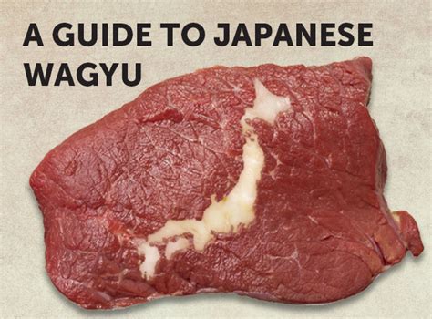 A Guide To Wagyu Premium Japanese Beef Lets Experience Japan
