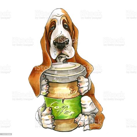 A Dog Of Basset Hound Breed Puppy A Dog With A Glass Of Coffee Stock