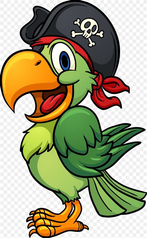 Pirate Parrot Royalty Free Png 1535x2481px Parrot Art Artwork
