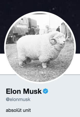 Absolute Unit Memes That Would Make Elon Musk Proud Funny Gallery