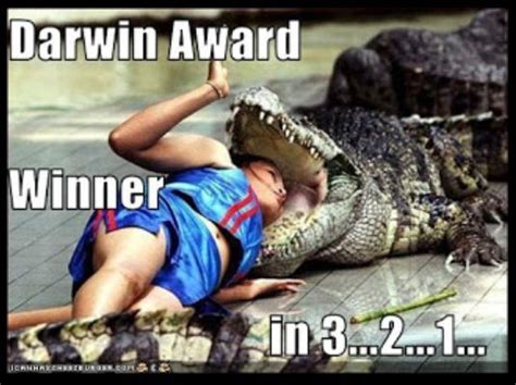 Pin By Joshua Crapo On Funny Stuff Darwin Awards Dumb People Funny