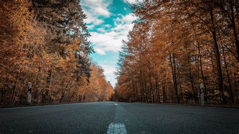 Wallpaper Autumn Road Forest Trees 3840x2160 Uhd 4k Picture Image
