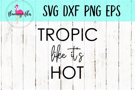 Tropic Like It S Hot Svg Dxf Eps Png Cut File 94102 Svgs Design Bundles