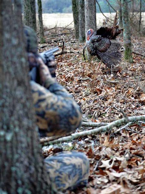 On weekends during legal shooting hours. Alabama Hunting Laws and Regulations | Survival Life