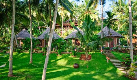 5 Best Ayurvedic Retreats In India My Cms