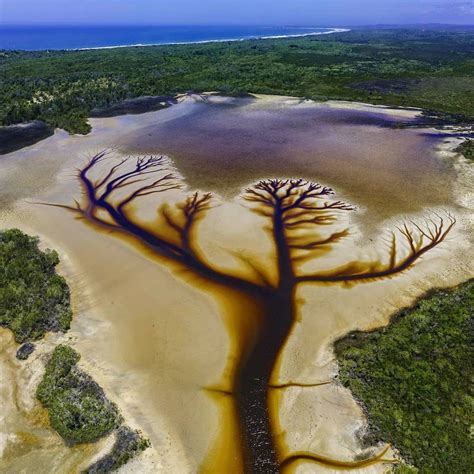 Aerial Photos Of Lake Cakora At Brooms Head Reveal Spectacular Tree Of