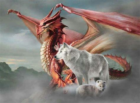 Red Dragon And Her Friend White Wolf Dragon Wolf Dragon Artwork