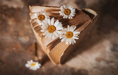 Old Books With Flowers Of White Field Daisies Free Photo
