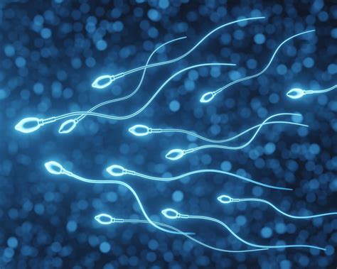 New Genetic Variations Discovered In Swimming Behavior Of Sperm Cells