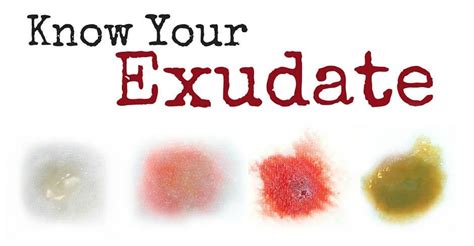 Wound Care Clinicians Need To Know About The Different Types Of Exudate