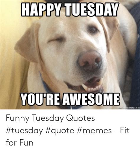 Happy Tuesday Youre Awesome Memegeneratornet Funny Tuesday Quotes