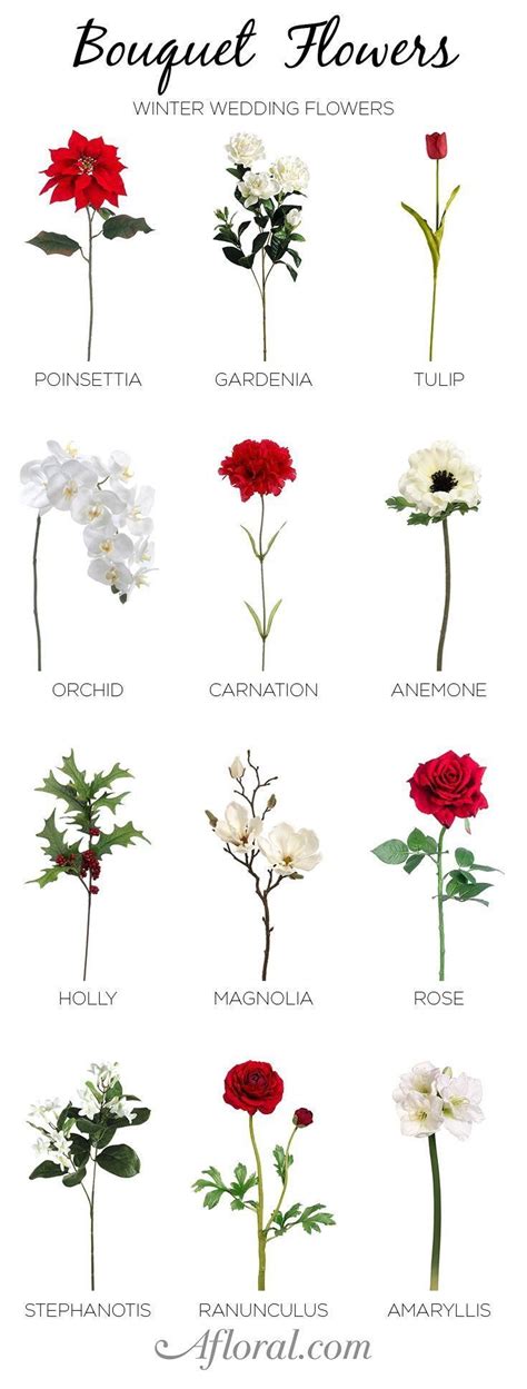 The Different Types Of Flowers Are Shown In This Graphic Style