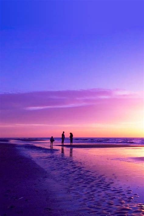 Purple Sunset Beautiful Landscapes Scenery Photos Amazing Sunsets