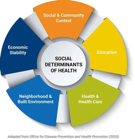 What Does Social Determinants Of Health Mean