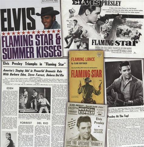 Elvis Presley Cd Flaming Star Cd 7inch Deluxe Packaging Bear