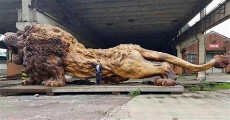 Incredible Wooden Lion Carved From A Single Tree 11 Photos