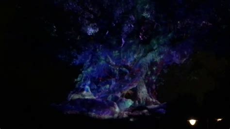 Tree Of Life Awakenings Animal Kingdom Disney Florida Youtube
