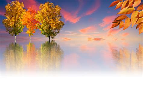 Three Trees In The Middle Of A Lake Surrounded By Autumn Leaves And Sky