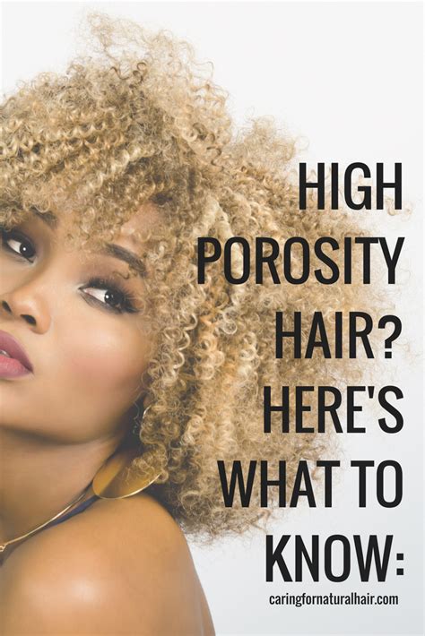 Stunning What S Good For High Porosity Hair With Simple Style