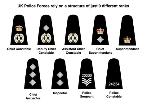 Police Officer Rank Structure