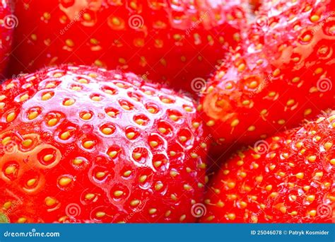 Beautiful Strawberries Close Up Stock Photo Image Of Freshness Plant