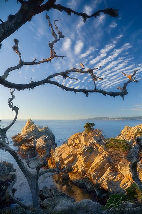 The Pinnacle Point Lobos Maria Draper Photography