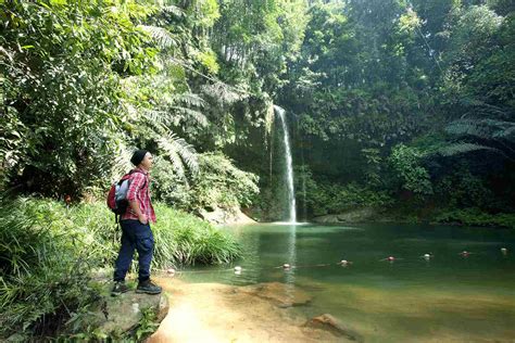 It is a small park, at 6,952 hectares (17,180 acres), and is composed largely of mixed dipterocarp forest, with some small areas of 'kerangas'. Malaysia's National Parks and Nature Reserves